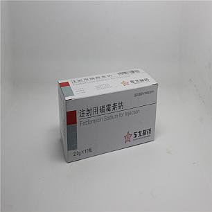 注射用磷霉素钠/2g